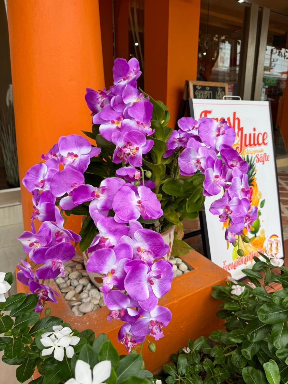 Venice Hotel หัวหิน ภายนอก รูปภาพ